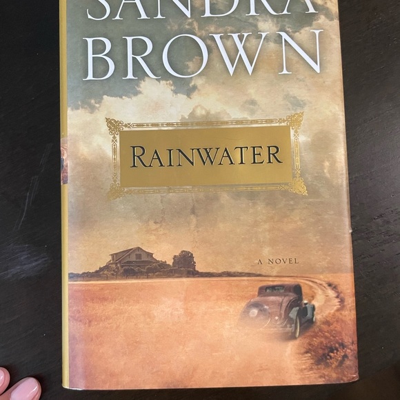 Set of 2 books- A Face to Die For by Iris Johansen & Rainwater by Nora Roberts - Picture 3 of 9